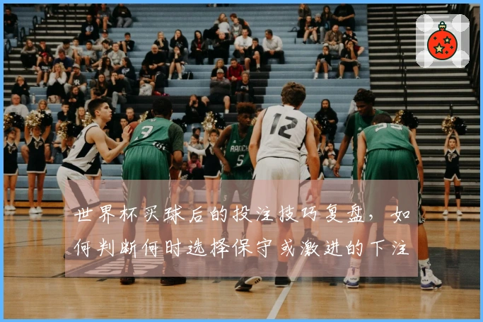 世界杯买球后的投注技巧复盘,如何判断何时选择保守或激进的下注策略