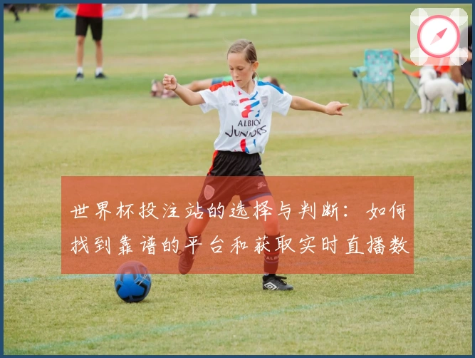 世界杯投注站的选择与判断:如何找到靠谱的平台和获取实时直播数据?