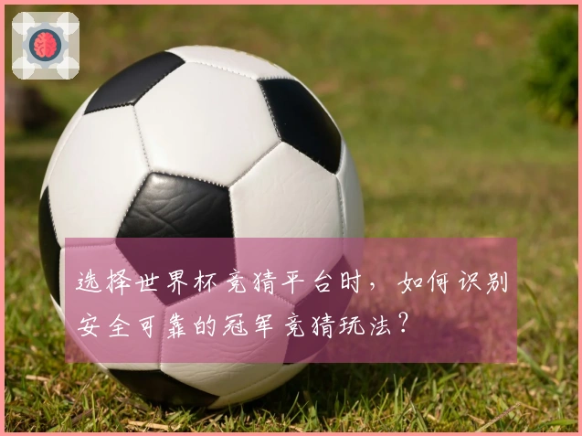 选择世界杯竞猜平台时,如何识别安全可靠的冠军竞猜玩法?